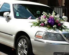 Location de limousine pour enterrement de vie de jeune fille | Location de limousine pour enterrement de vie de celibataire